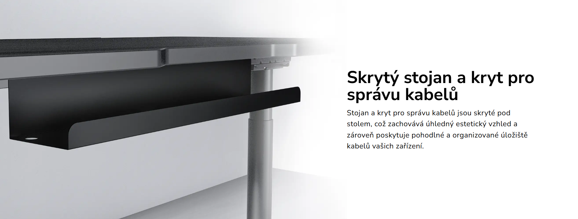 Snímek obrazovky 2026-03-24 103834